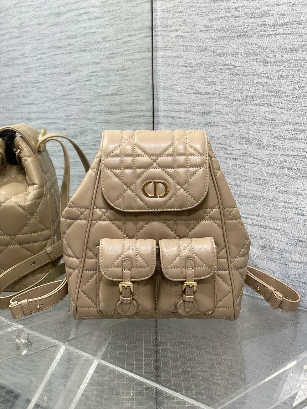 Backpack 007